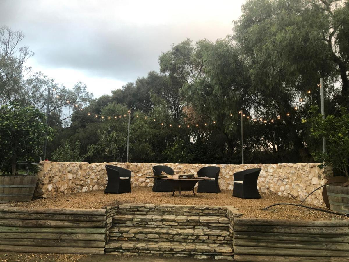 Amande Mclaren Vale
